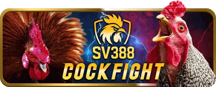 Hướng Dẫn Cá Cược Thể Thao 89bet2 Chính Thức